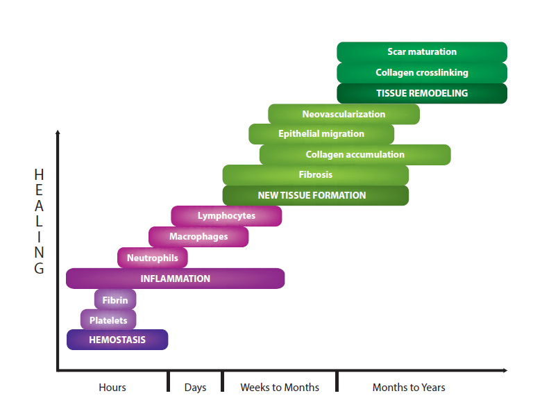 Healing Graph Image