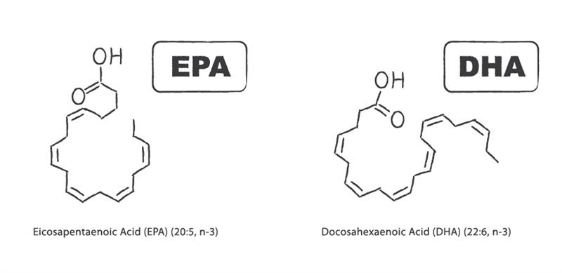 Cardiometabolic Differences EPA vs. DHA