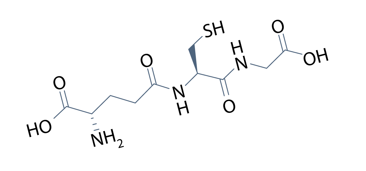 Glutathione The Master Antioxidant: Bioavailability of Oral Glutathione Supplementation