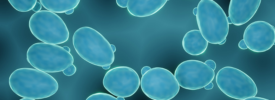 Key Considerations for Rotating Probiotics Blue microscopic microbes