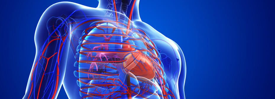 metabolic-syndrome